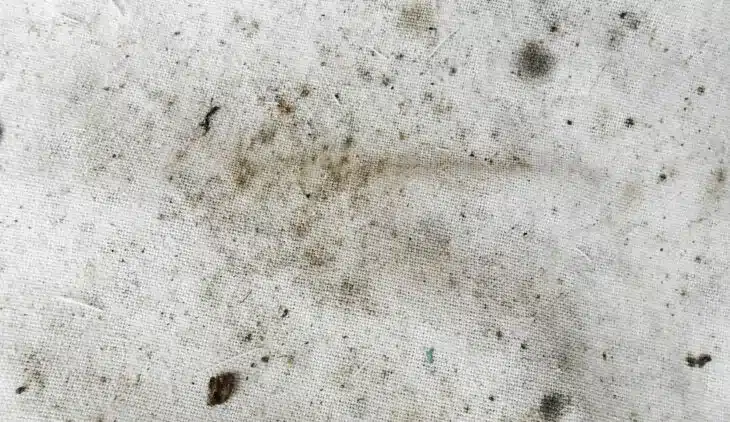 cuidado de alfombras