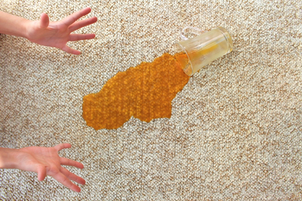 ¡Salva tu alfombra! Limpieza profunda en casa en 3 sencillos pasos​