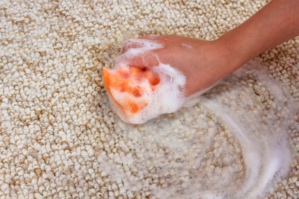 ¡Salva tu alfombra! Limpieza profunda en casa en 3 sencillos pasos​