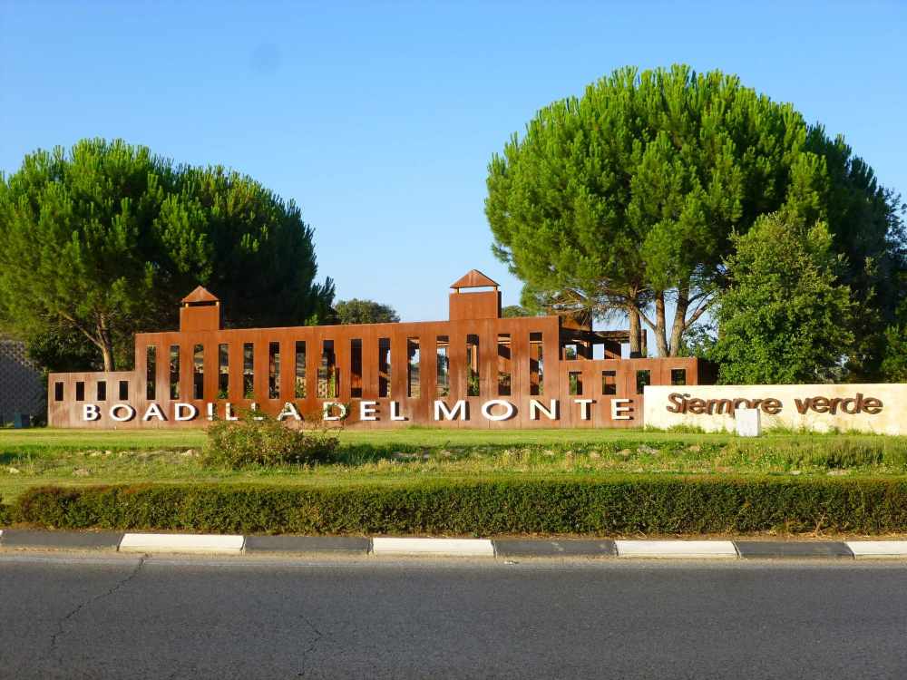 limpieza de alfombras en Boadilla del Monte